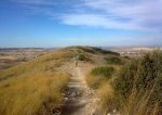 28102008_012.jpg
