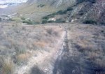 28102008_016.jpg