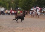 2012-09-23 17.19.51.jpg