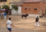 2012-09-23 17.35.16.jpg