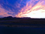 IMG_1663.jpg