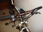 DSC08599.JPG