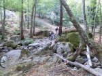 CIMG0506.jpg