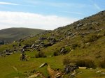 DSCN3595.jpg