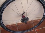DSC02339.JPG