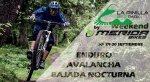 home-pinilla2012.jpg