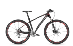 raven-29er-1-0.png