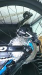 dsc0434hy.jpg