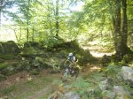 DSCN3610.jpg
