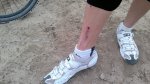 2012-09-25-037.jpg