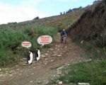 20120926_175833.jpg