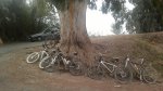 2012-09-22-1570.jpg