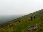 DSCN3632.jpg
