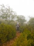 DSCN3639.jpg