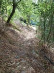 IMG_0472.JPG