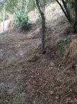 IMG_0473.JPG