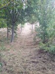 IMG_0478.JPG
