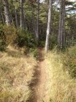 IMG_0482.JPG