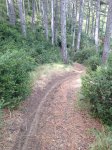 IMG_0484.JPG