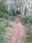 IMG_0485.JPG