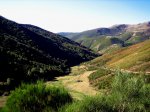 IMG_0060.jpg