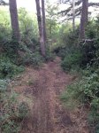 IMG_0486.JPG