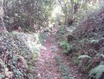 Xalo-bajada12.jpg