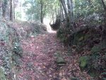 Xalo-bajada14.jpg