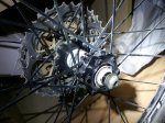 mavic (Medium).jpg