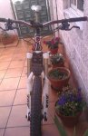 IMAG0512.jpg