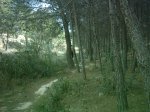 barrancodelfardacho2420dk5.jpg