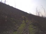 25032007783.jpg