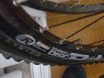 DSC05884.JPG