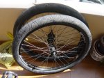 DSC05879.JPG