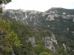 img41.JPG