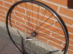 100_0305_bis.jpg