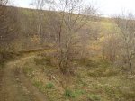 DSC00295.JPG