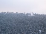P0000021_redimensionar.JPG