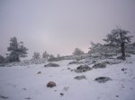 P0000032_redimensionar.JPG