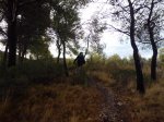 CIMG2614 (Copiar).JPG
