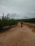 CIMG2662 (Copiar).JPG