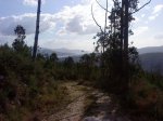 DSC00046.jpg