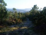 DSC00054.jpg