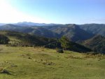 IMAG0689.jpg