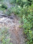 300920125418_576x768.jpg
