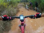 charco1_800x600.jpg