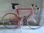 bici1.jpg