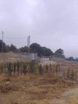 P1010046.JPG