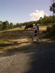 A Laracha-20120930-00152.jpg