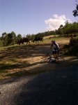 A Laracha-20120930-00153.jpg
